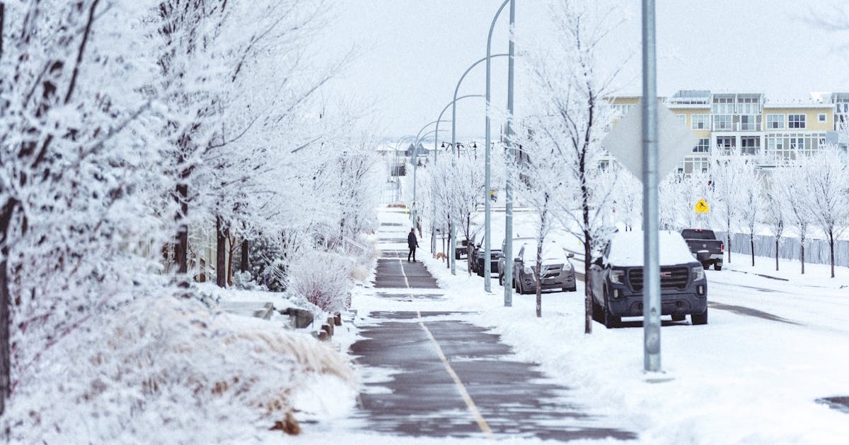 A serene winter cityscape featuring a snow-covered street lined with frosty trees and parked cars, with one person walking.