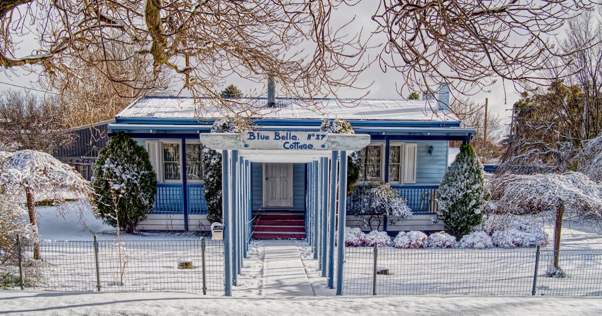 A picturesque blue cottage surrounded by snow-covered trees and shrubs.